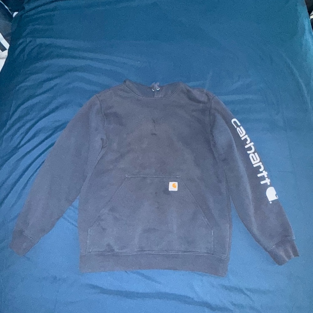 Carhartt Men's Loose Fit Midweight Signature Sleeve Logo Hooded Sweatshirt